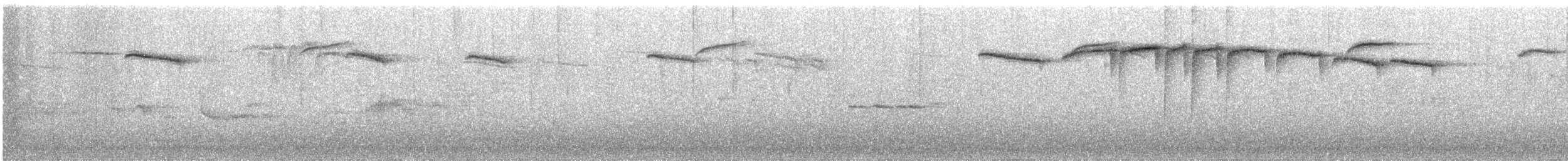 キバシリ - ML646832208