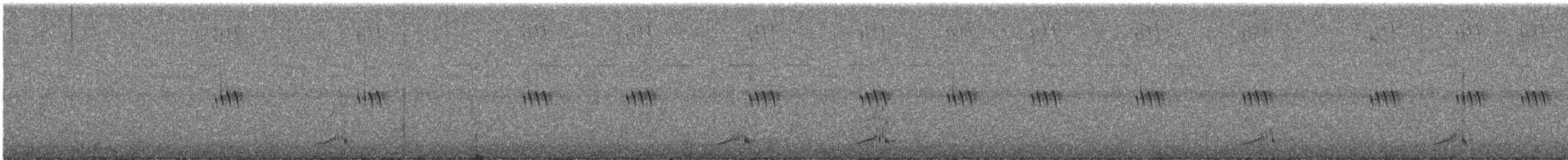 Каролінка - ML646832387