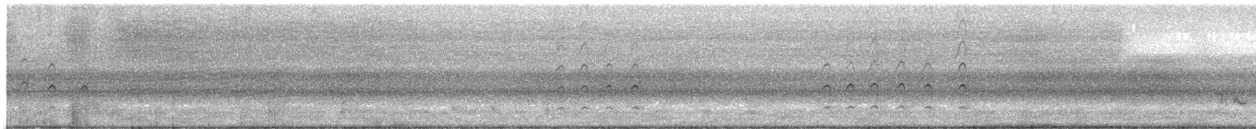 Nankeen Kestrel - ML646832407