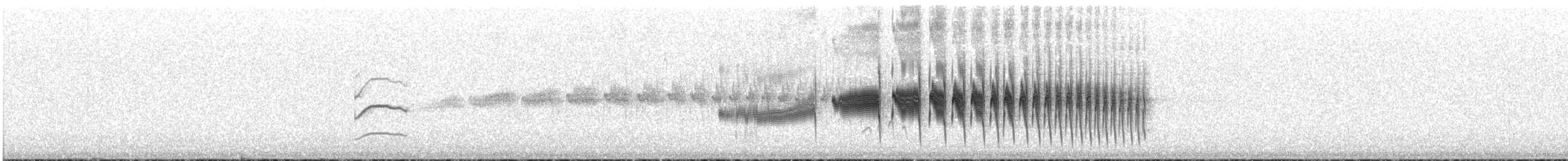 Канастеро смугастий - ML646832502