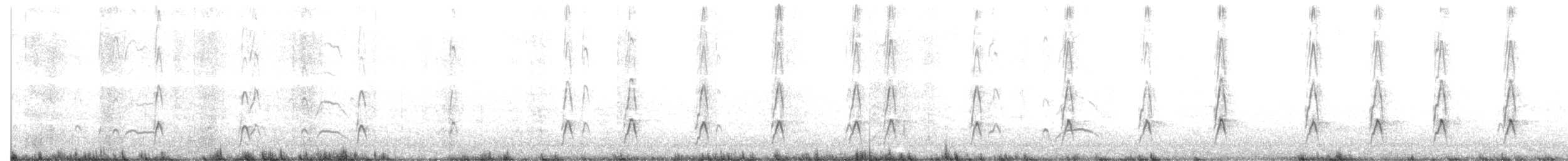 ústřičník dlouhozobý - ML646832539