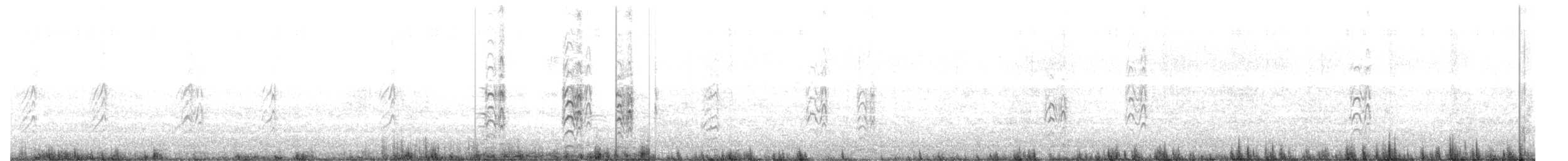 rybák australský - ML646832543