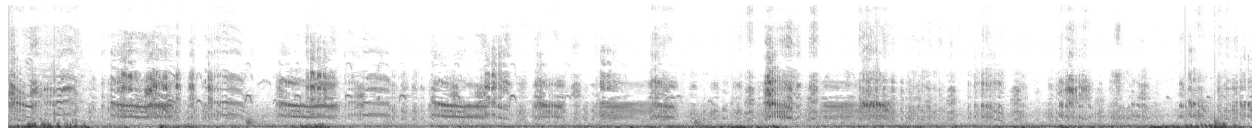 rybák chocholatý - ML646832544