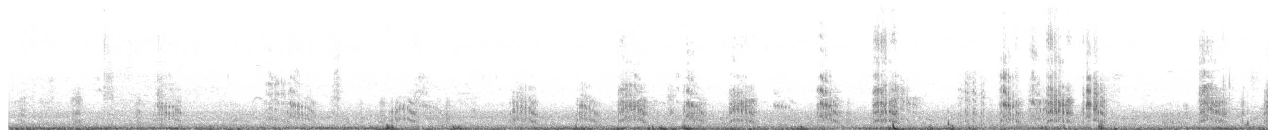 rybák chocholatý - ML646832545