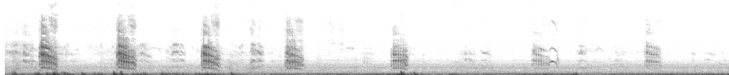 rybák chocholatý - ML646832546