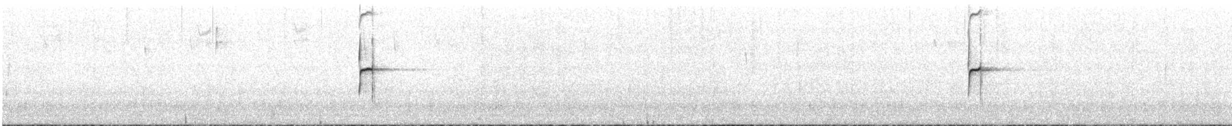 Корпуана білогорла - ML646832726