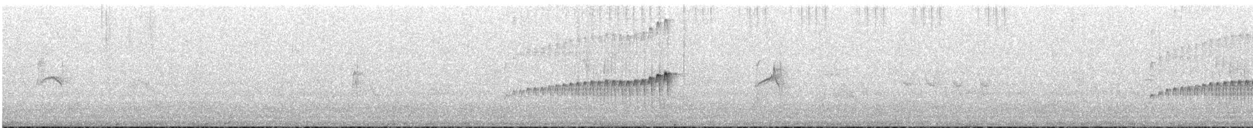 Корпуана білогорла - ML646832728