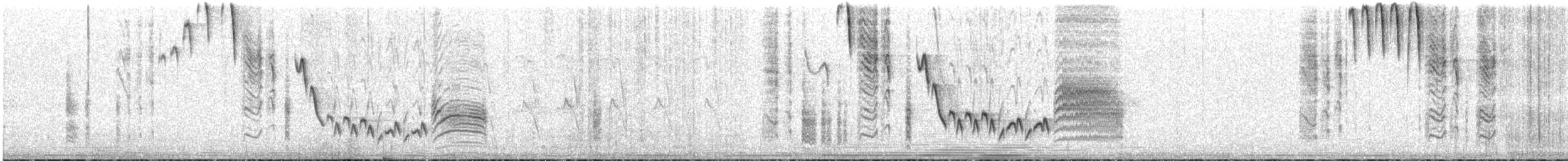 Southern House Wren - ML646832957