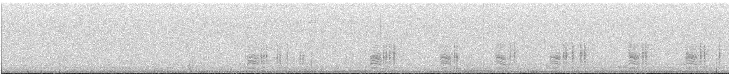 Southern House Wren - ML646832958