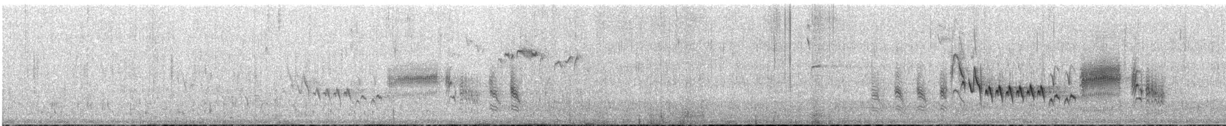 Southern House Wren - ML646832959