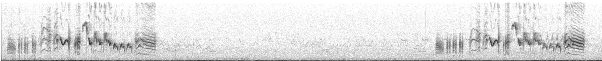 Southern House Wren - ML646832960