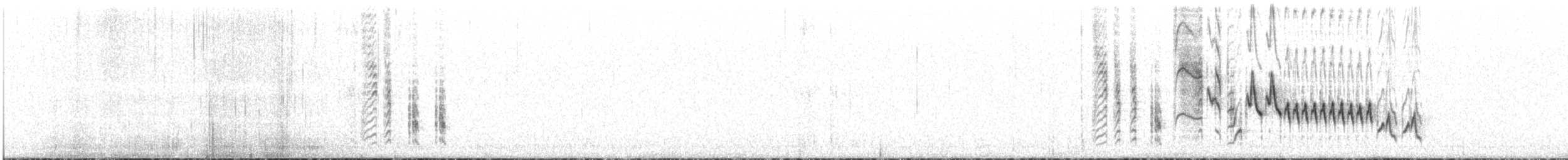 Southern House Wren - ML646832961