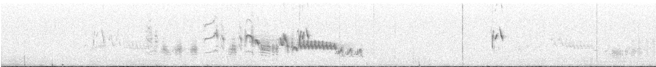 Southern House Wren - ML646832962