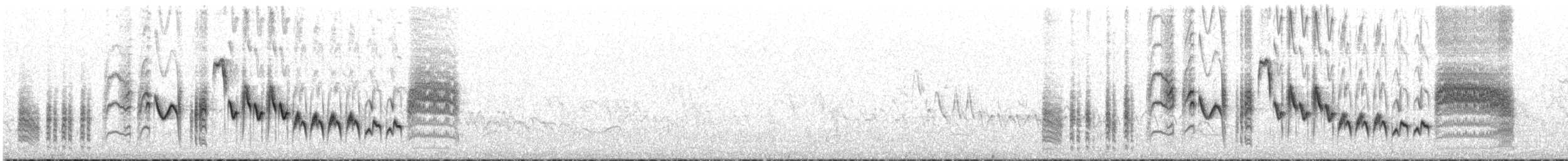 Southern House Wren - ML646832963