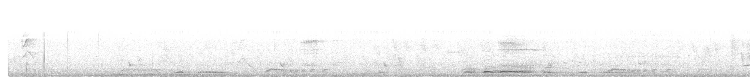 オオバンケン - ML646833453