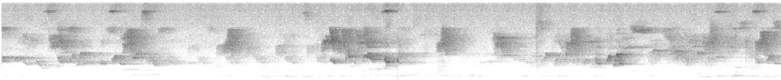 Pied Thrush - ML646833692