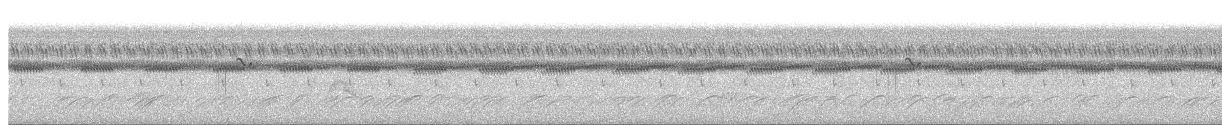 Moucherolle à tête blanche - ML646833922