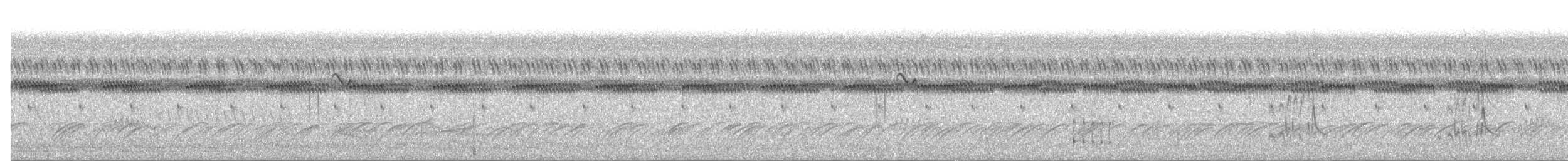 Moucherolle à tête blanche - ML646833923