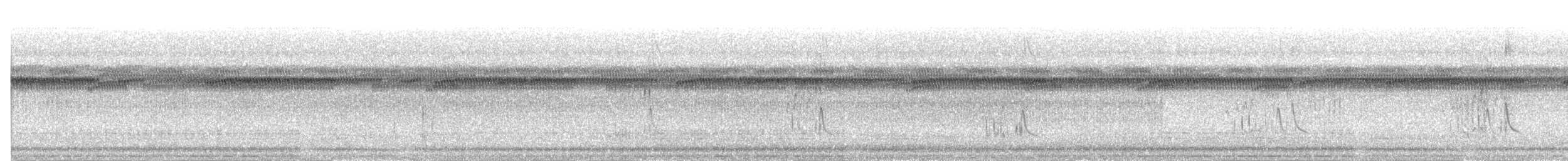 Moucherolle à tête blanche - ML646833965