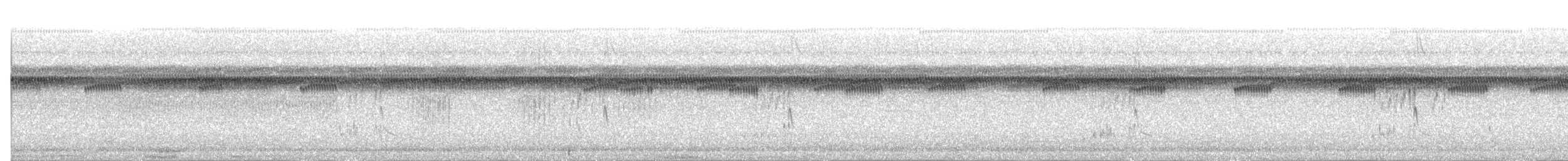 Moucherolle à tête blanche - ML646833966