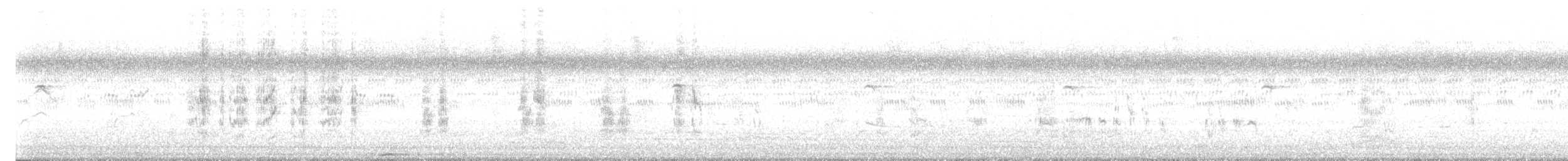 Long-tailed Shrike - ML646834350