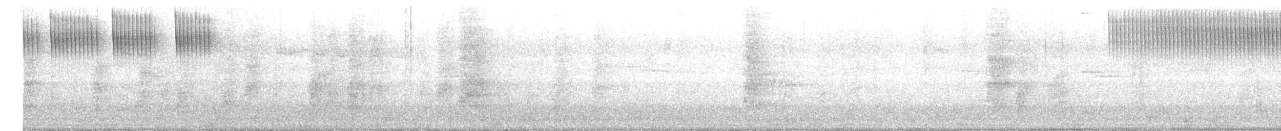 Gilded Hummingbird - ML646836108