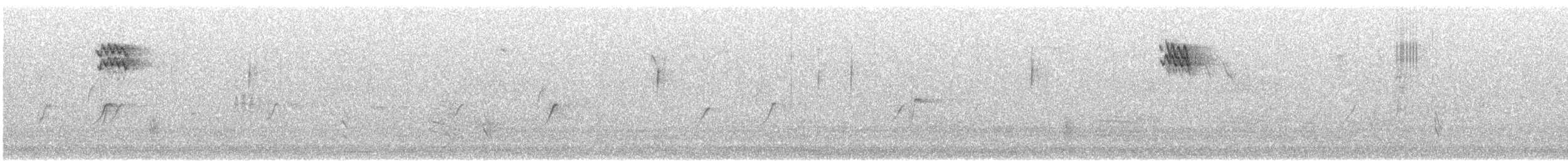 Eurasian Blackbird - ML646836813