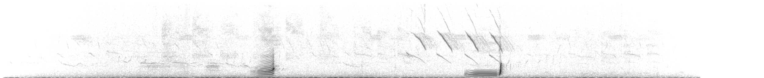 Чернобрюхий корхан - ML646836842