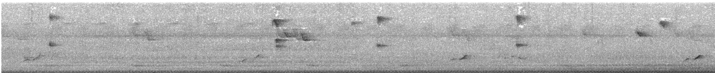 מין לא מוכר - ML646836889