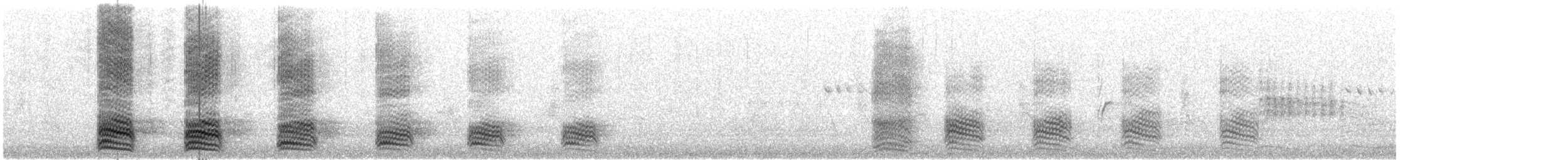 Carrion Crow (Western) - ML646836947