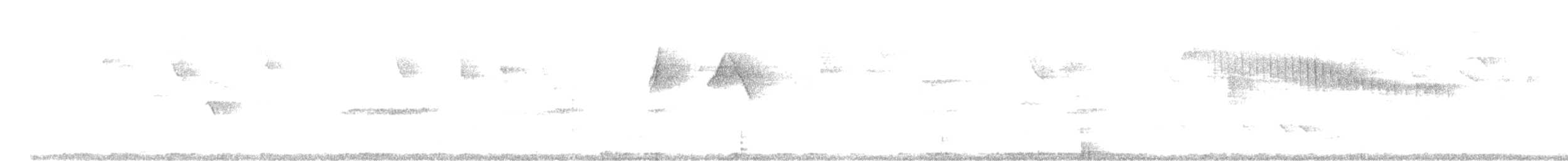 Папуга строкатий - ML646837046