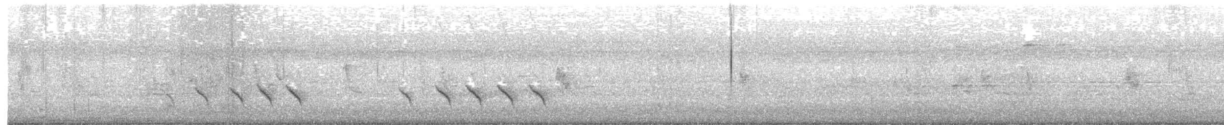 White-shouldered Triller - ML646837142