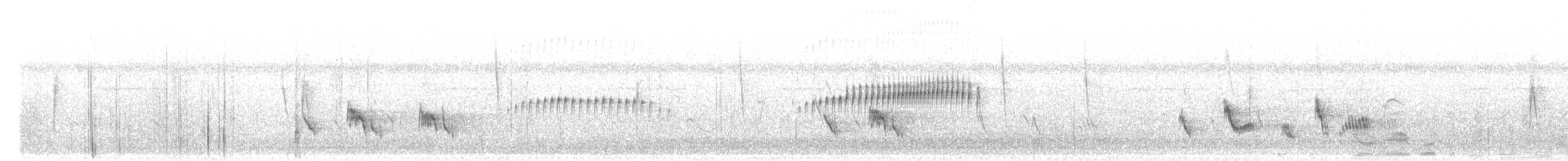 Slender-billed Tyrannulet - ML646837272