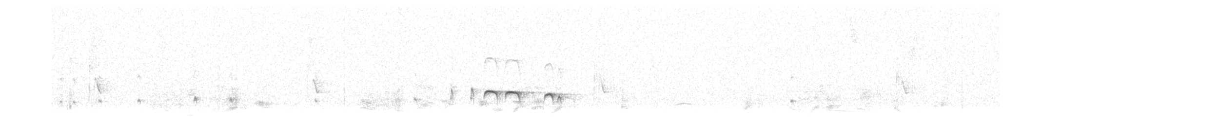 Pale-tipped Tyrannulet - ML646837322