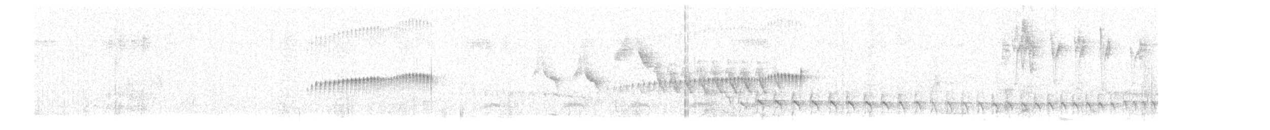 Slender-billed Tyrannulet - ML646837379