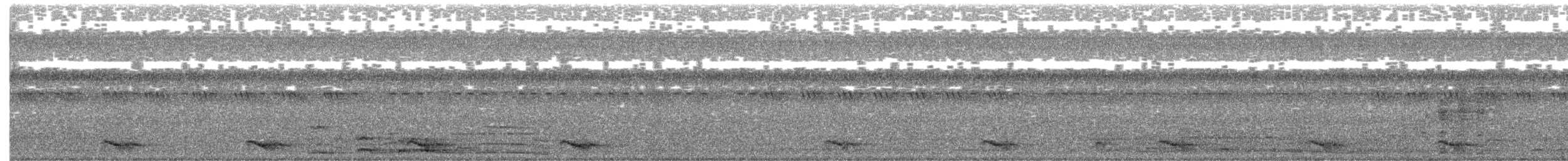 Cebu Boobook - ML646837578