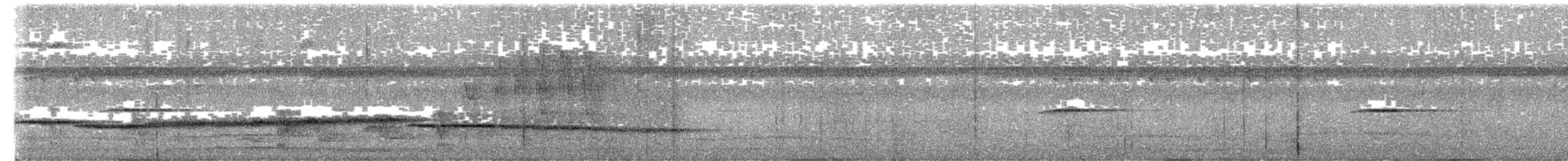 Black Shama - ML646838095