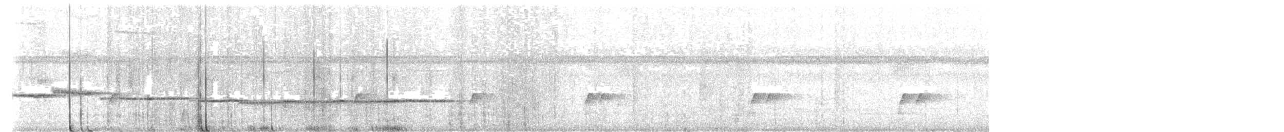 Black Shama - ML646838146