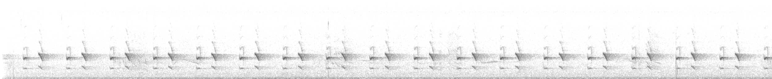 Magellantapaculo - ML646838400