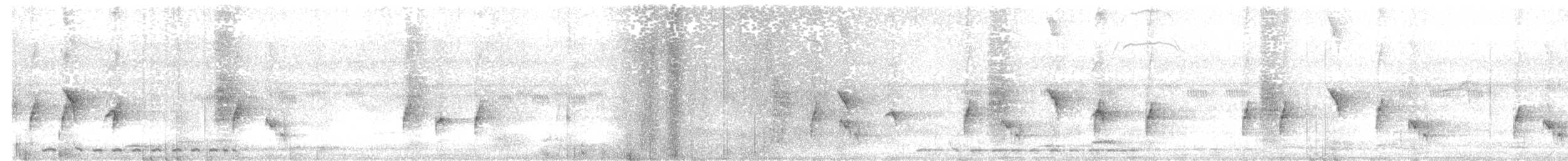 Cimitarra India - ML646839372