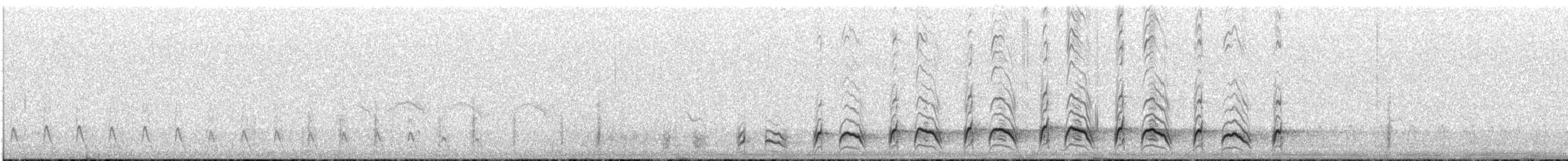 Agachadiza Andina - ML646840264