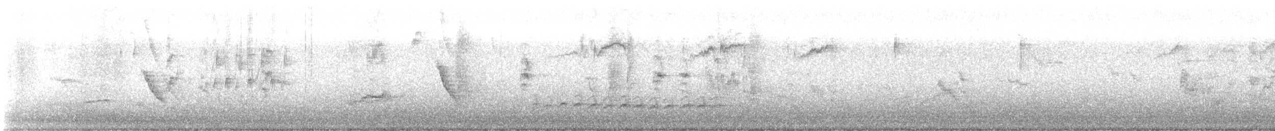 White-breasted Nuthatch - ML646840296