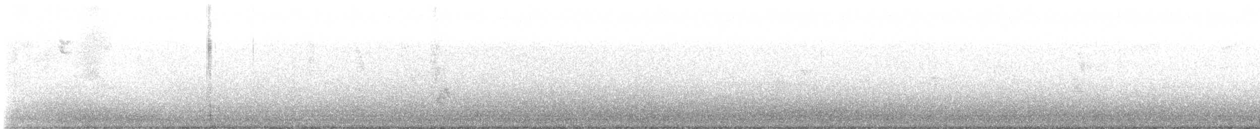 American Robin - ML646840375