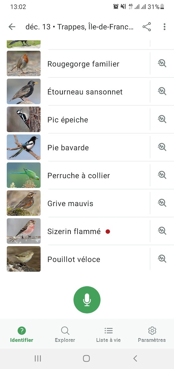 Redpoll - ML646840395