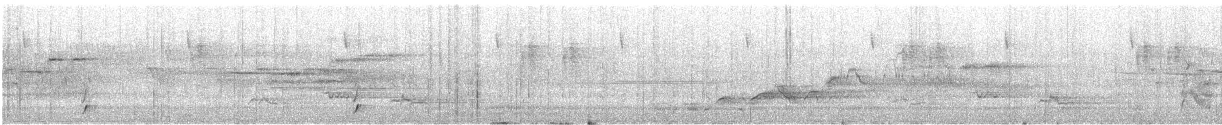 Swainson's Thrush (Russet-backed) - ML646841265