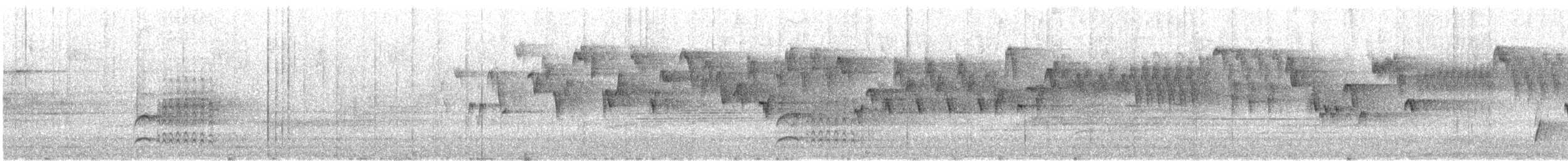 Swainson's Thrush (Russet-backed) - ML646841307