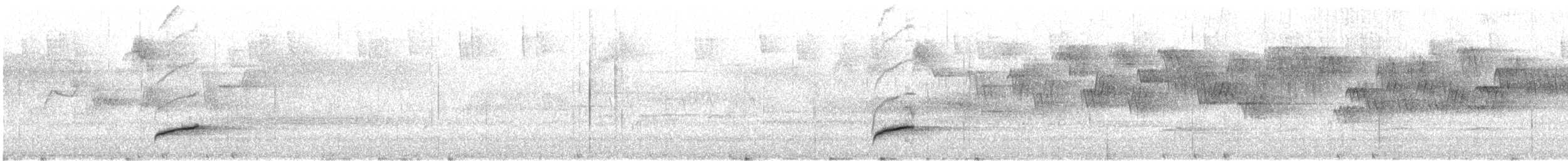 Swainson's Thrush (Russet-backed) - ML646841308