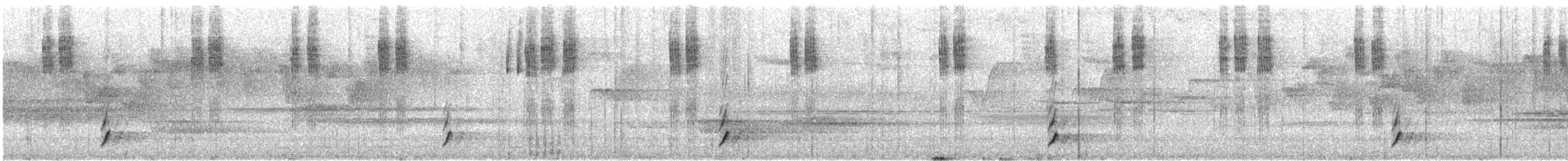 Swainson's Thrush (Russet-backed) - ML646841328