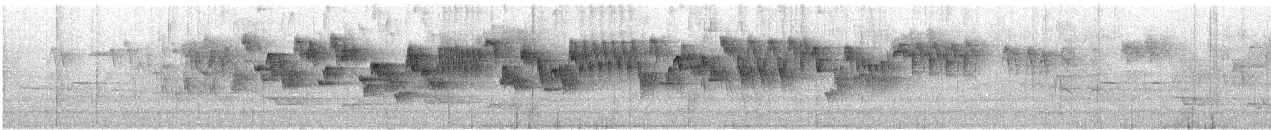 Волоочко кордильєрське - ML646841367