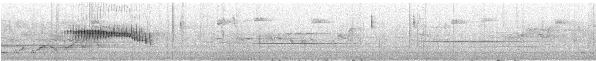 Orange-crowned Warbler - ML646841387